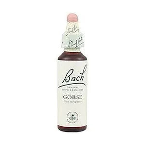 Bach 13 Gorse 20ml