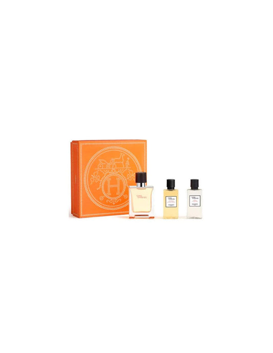 Hermès Terre D'hermes y T 50 Spray Gel40 Ceniza40