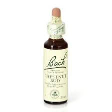 Bach 07 Chestnut Bud 20ml
