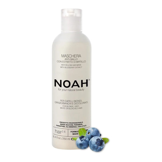 Noah Arandanos Anti-Amarillo Hair Mask 250ml