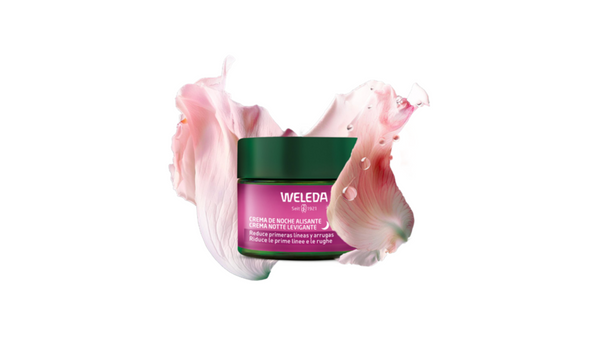 Rose and White Tea Night Cream 40ml